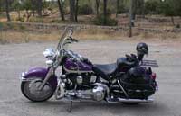 Harley-Rudi