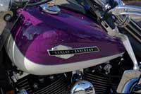 Harley-Rudi